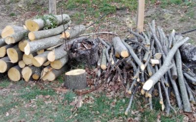 photo compost copie